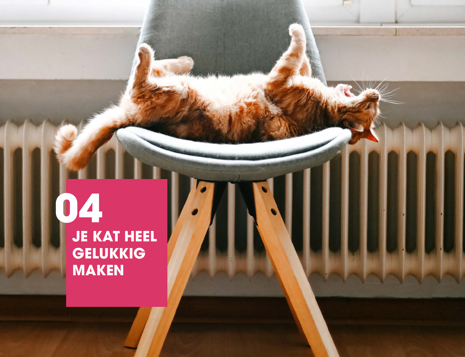 Happy Cats for Kids