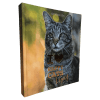Happy Cats Legacy