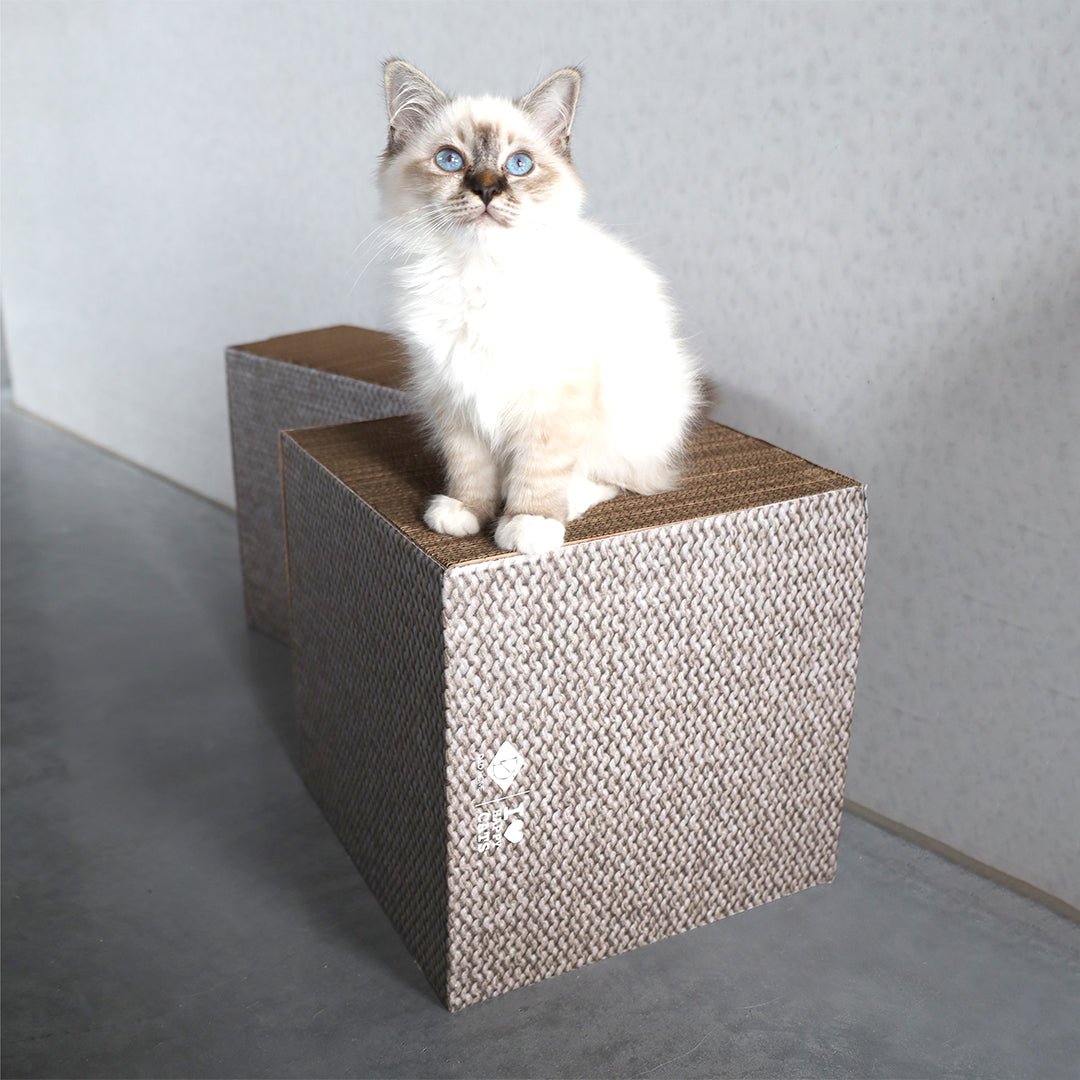 FREYA  -  krabblokken